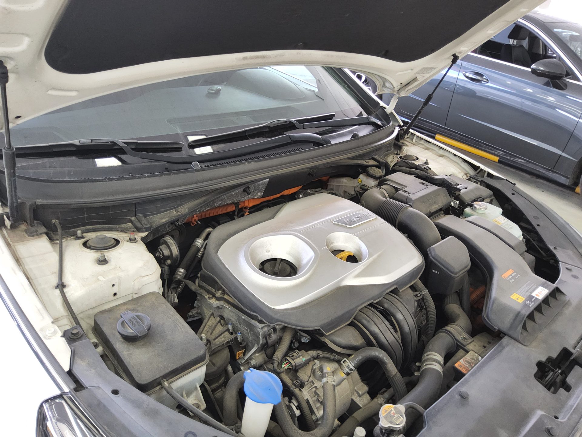 2019 - hyundai sonata