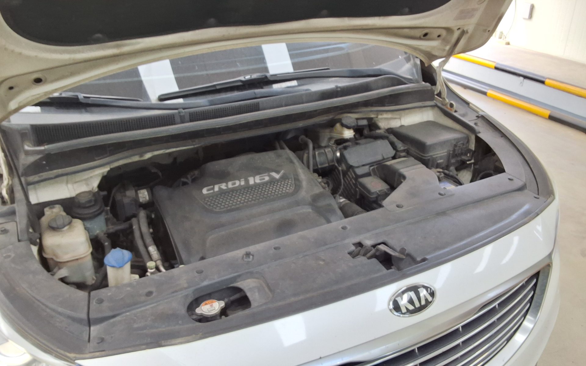 2015 - kia carnival