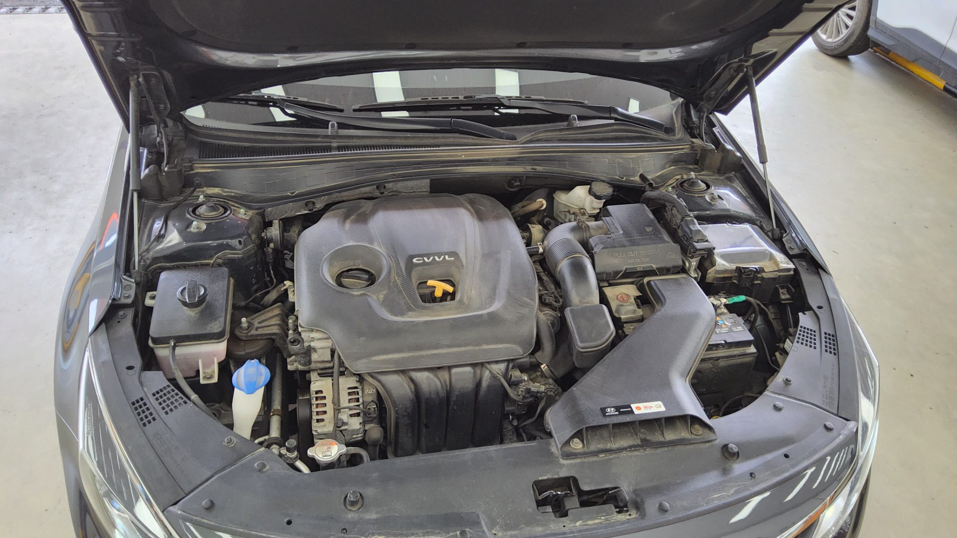 2019 - kia k5