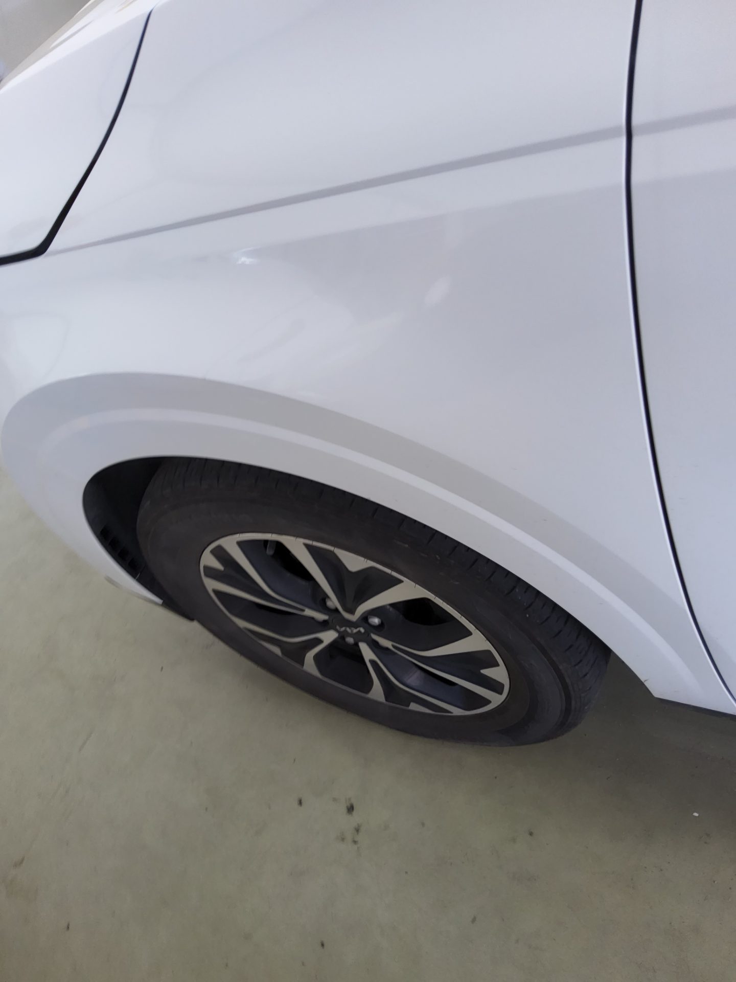 2023 - kia carnival