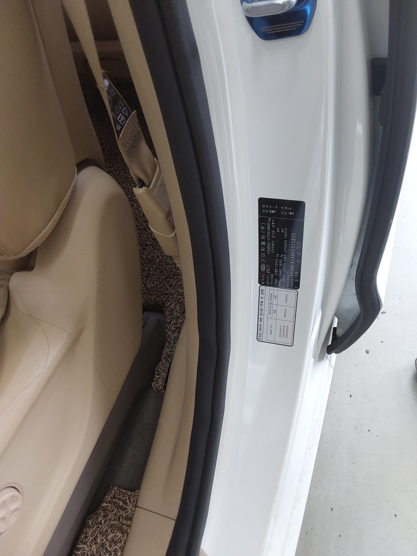 2017 - kia carnival