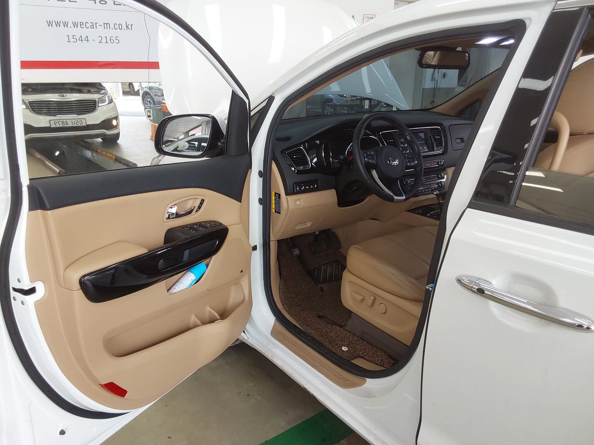 2017 - kia carnival
