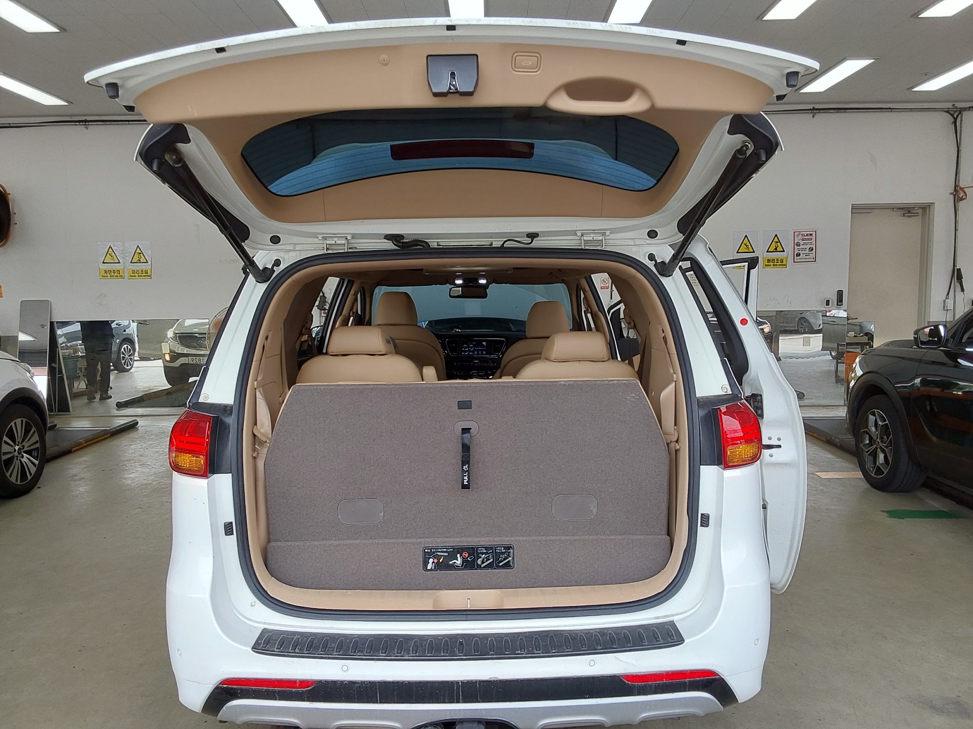 2017 - kia carnival