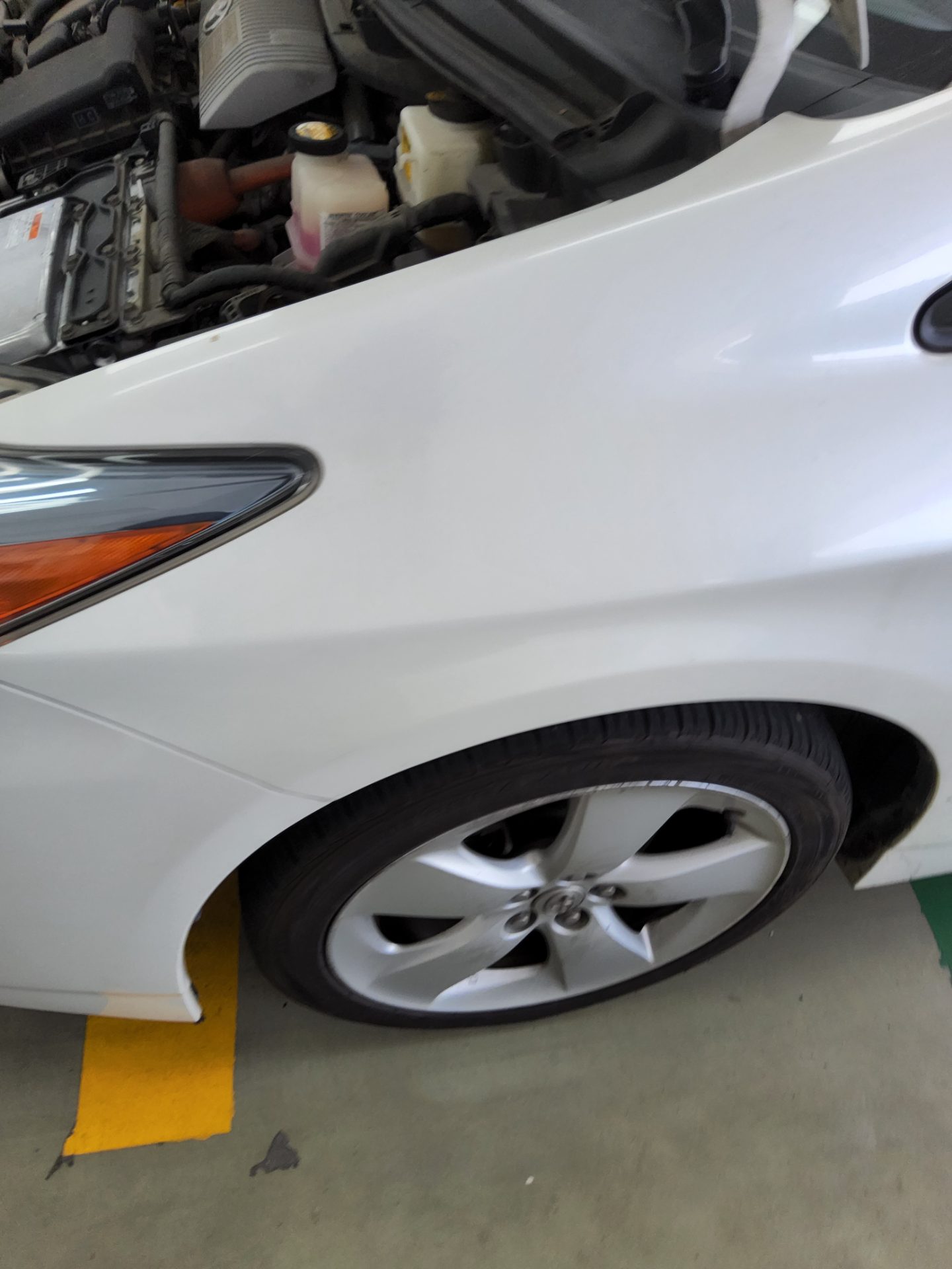2011 - toyota prius