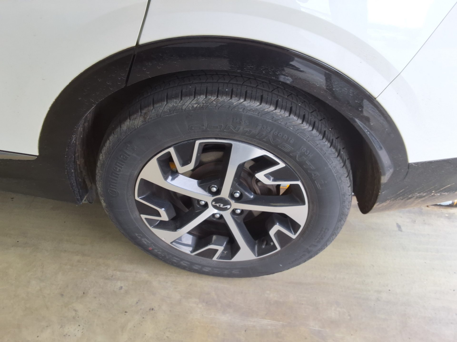 2023 - kia sportage