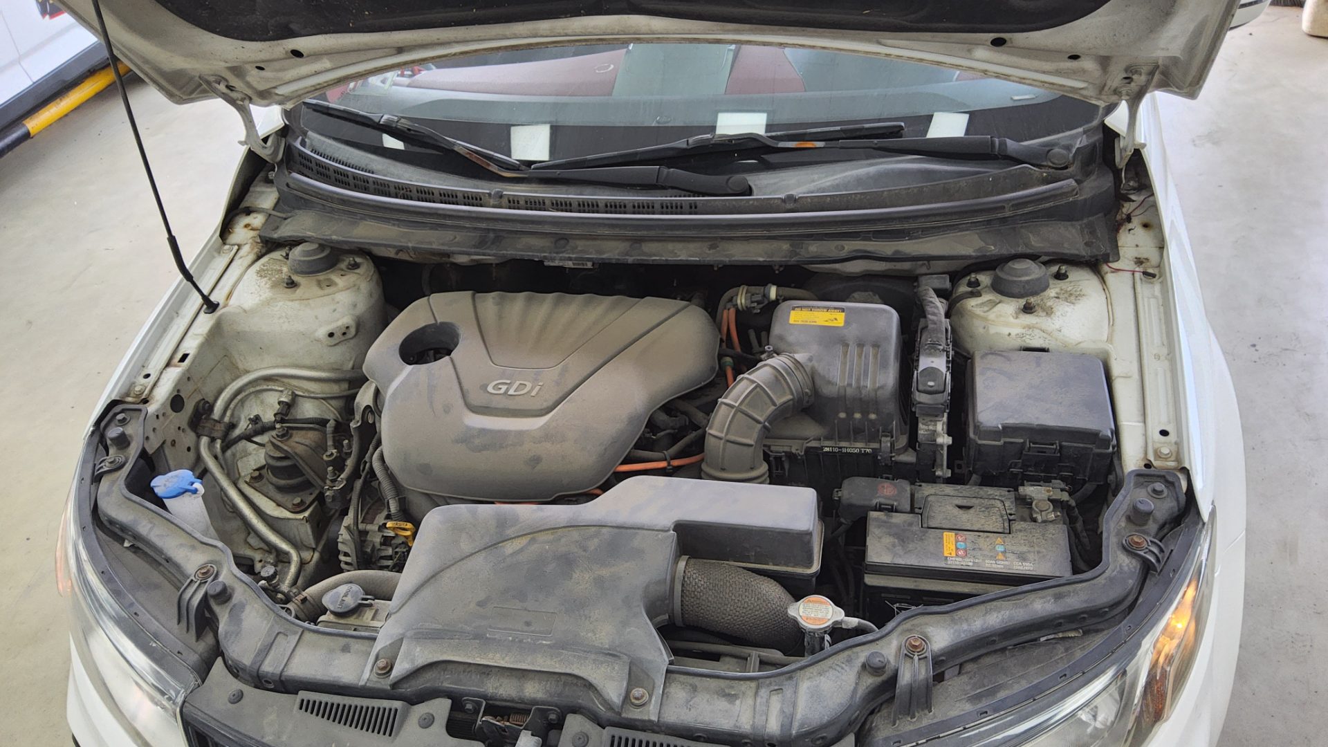 2011 - kia forte