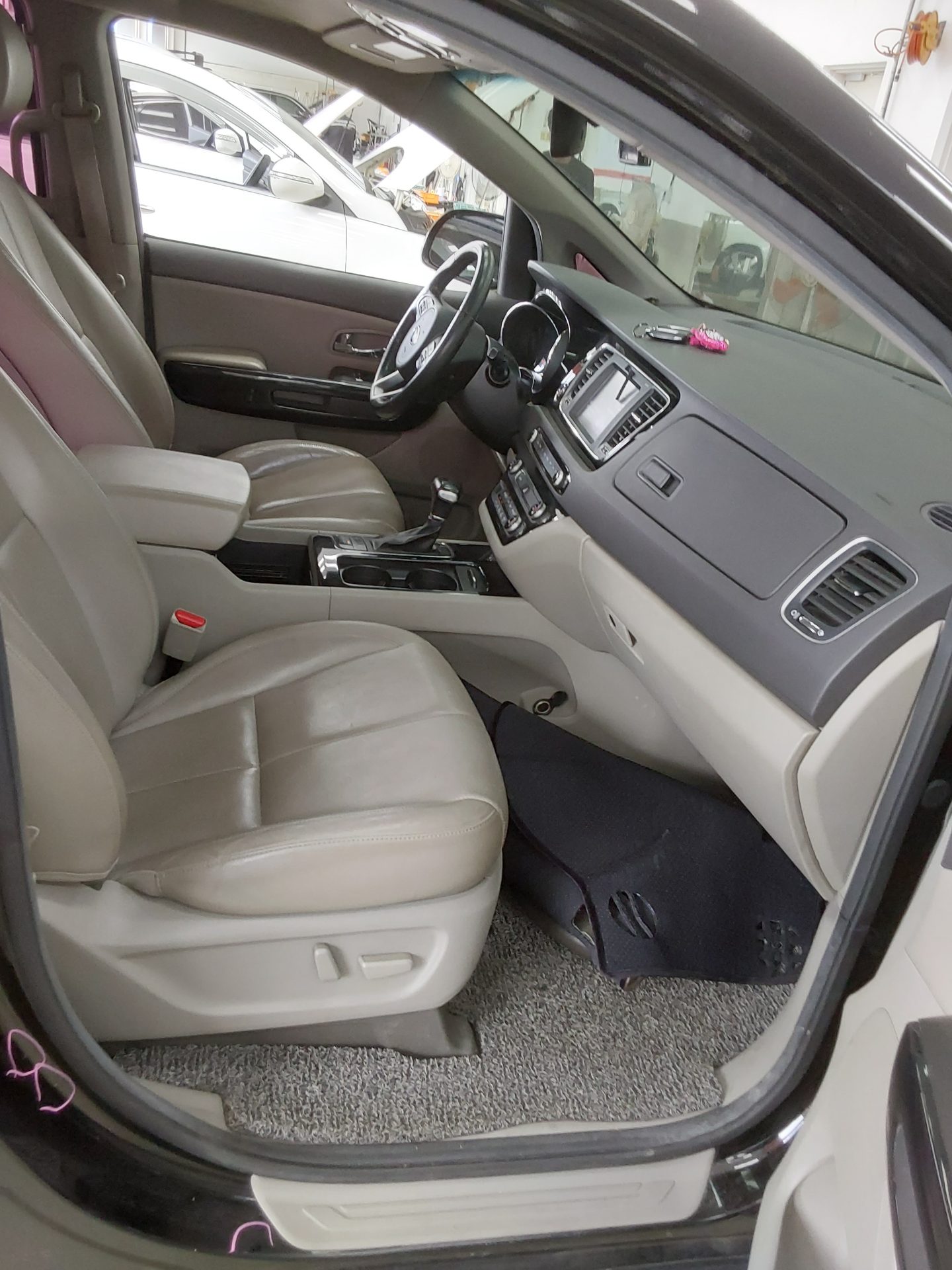 2018 - kia carnival