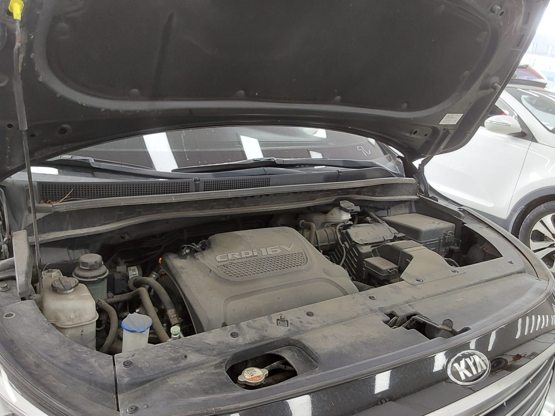 2018 - kia carnival