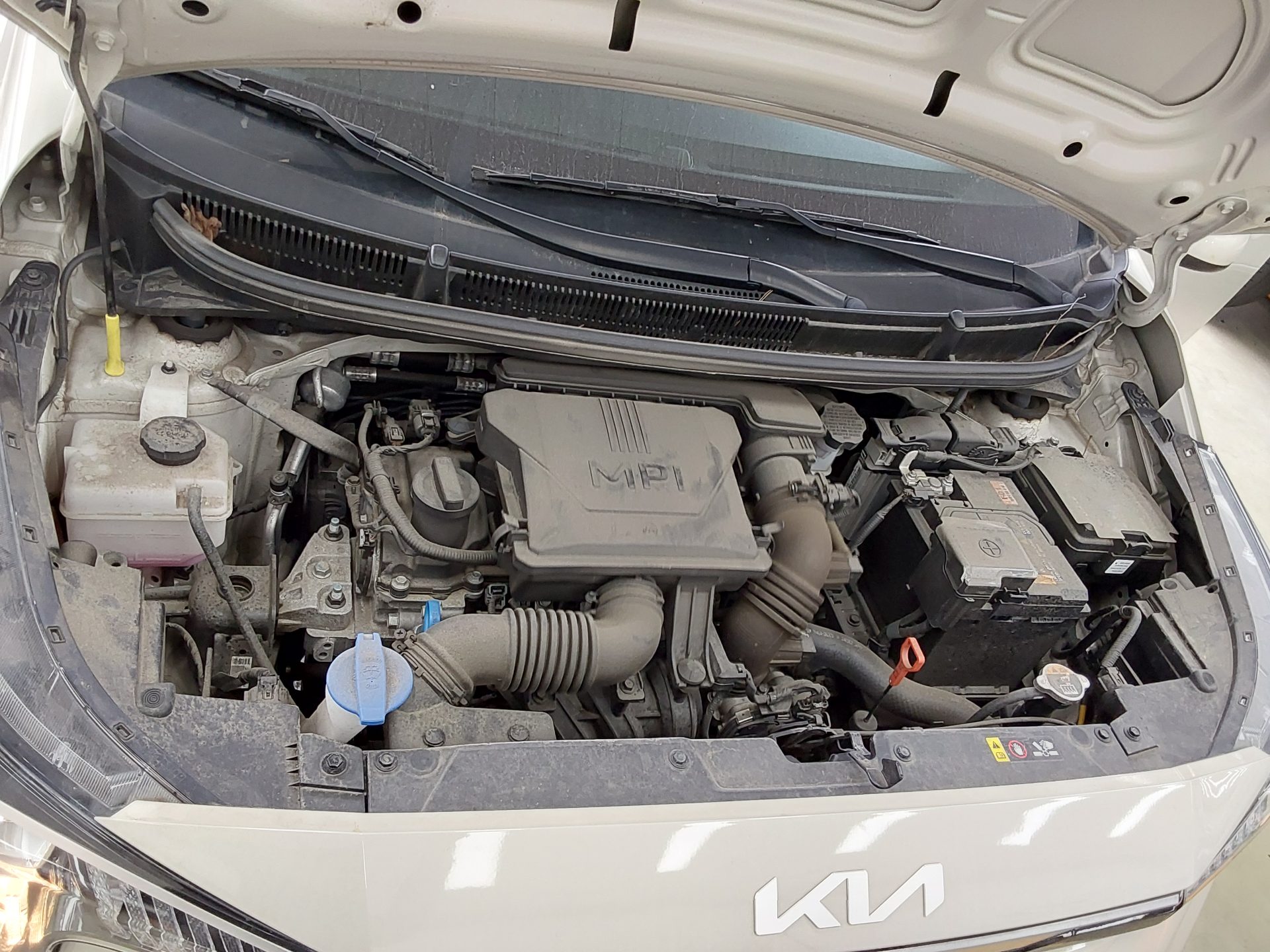 2024 - kia morning