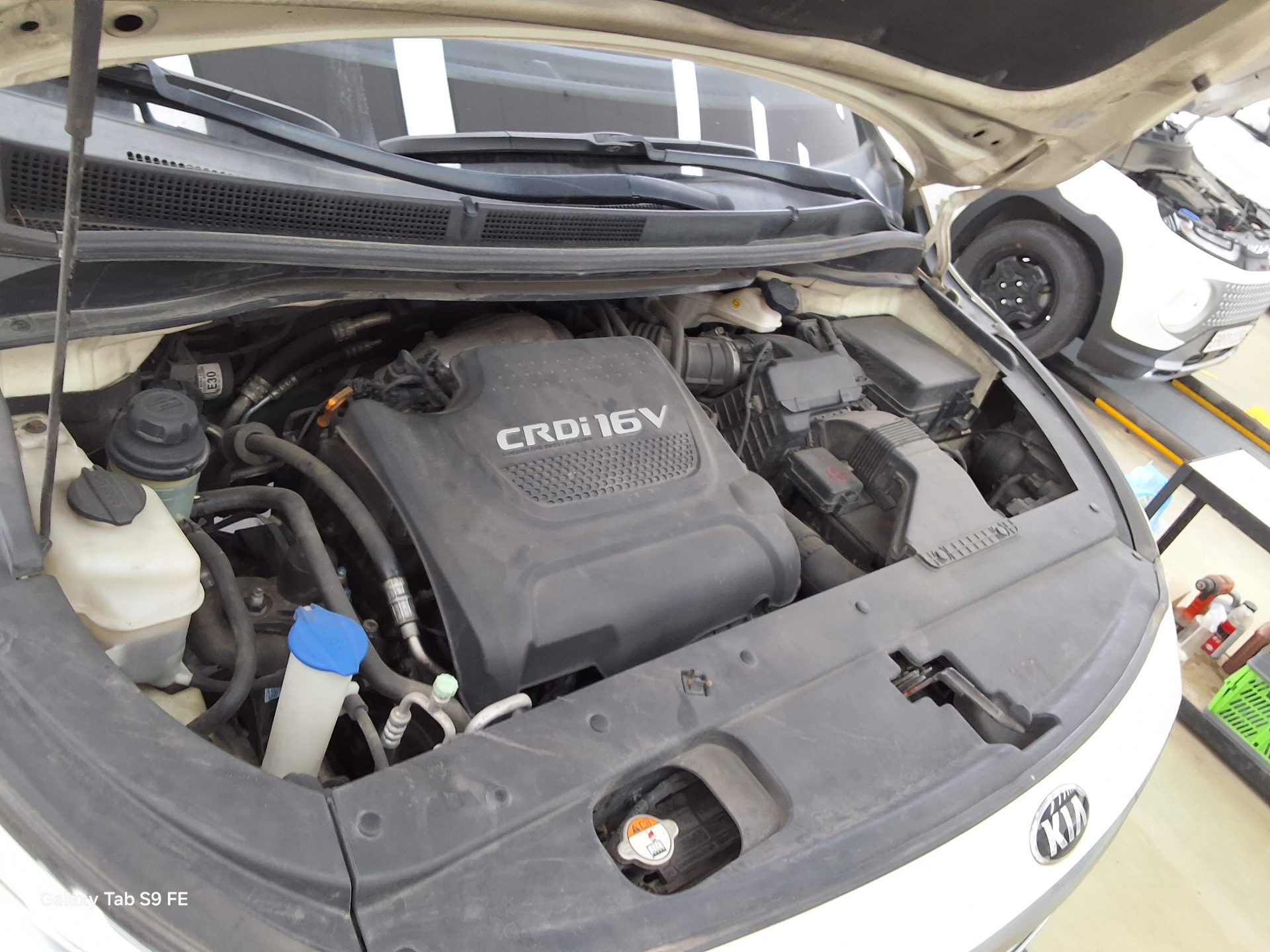2015 - kia carnival