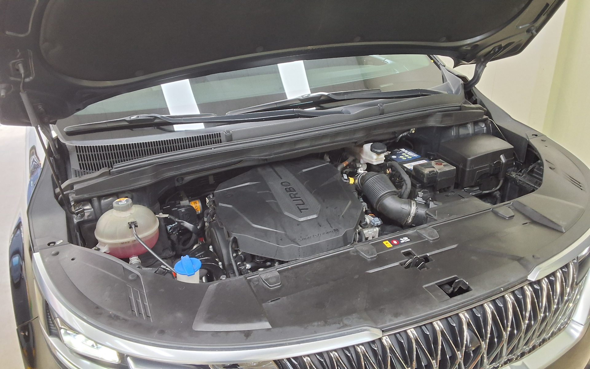 2021 - kia carnival
