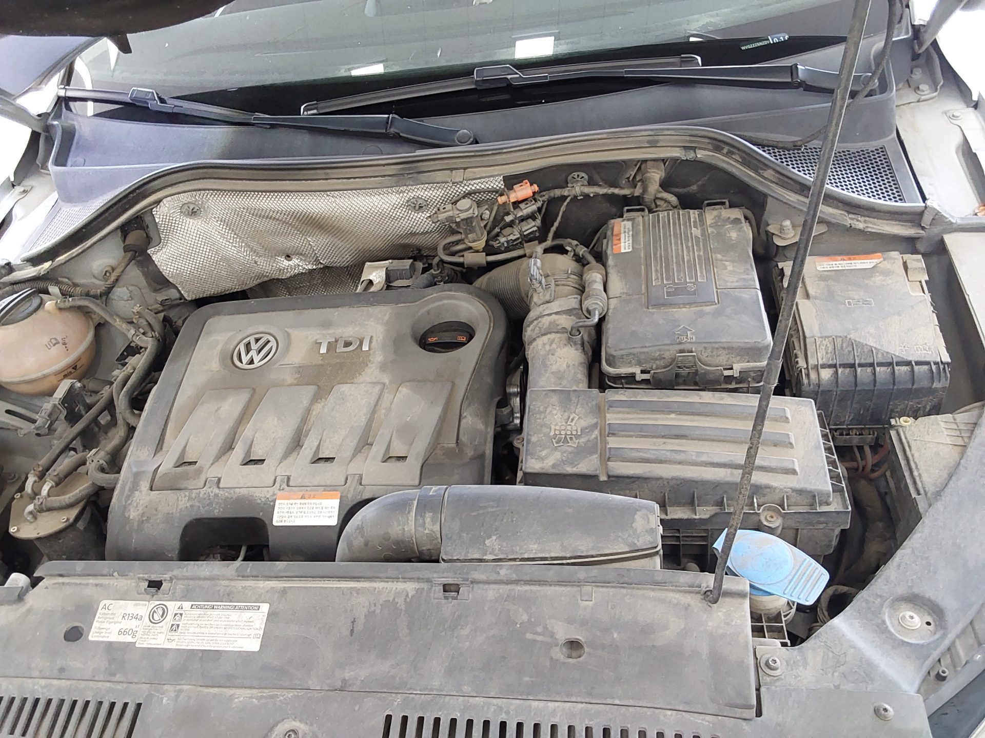 2013 - volkswagen tiguan