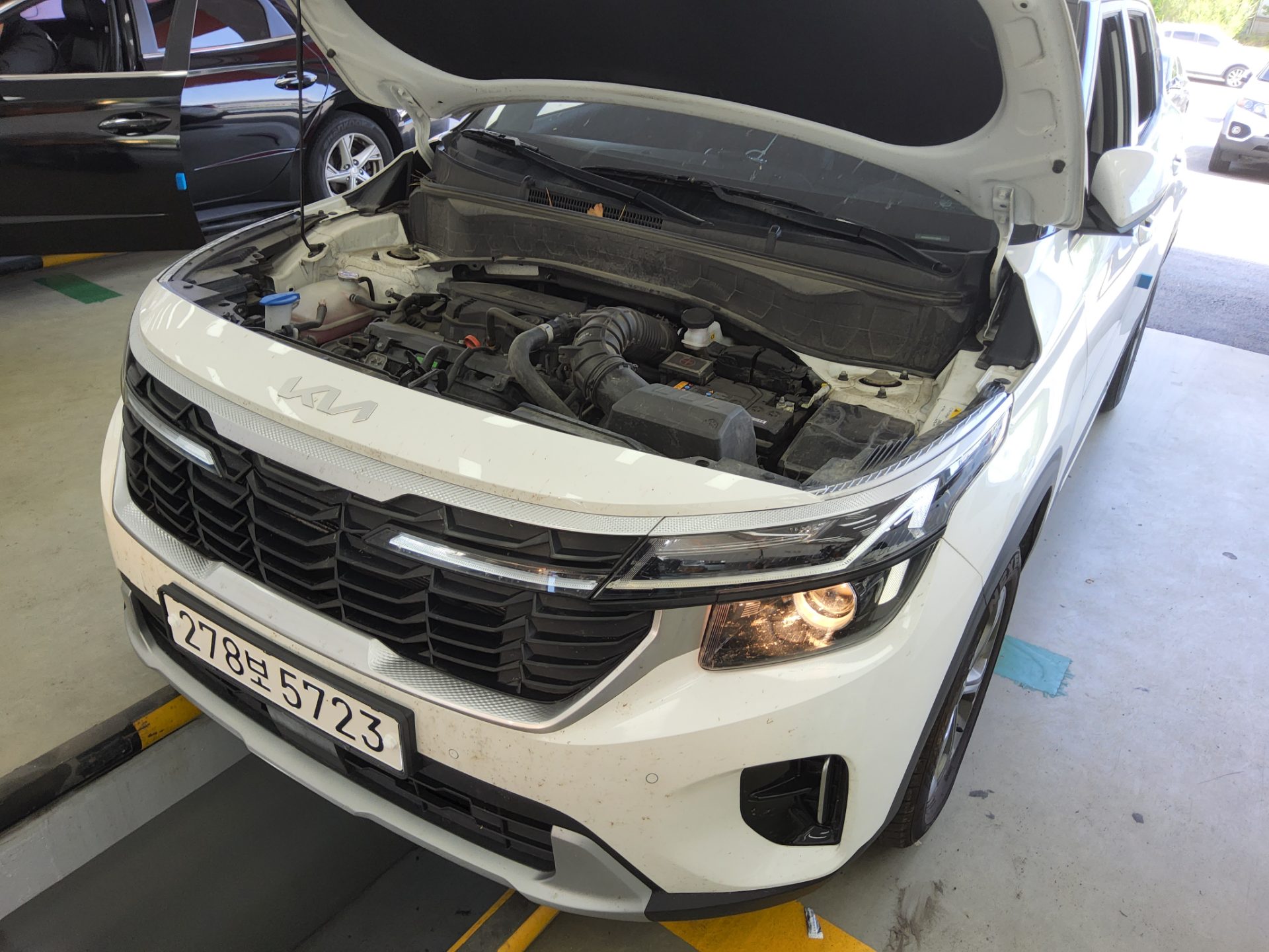 2025 - kia seltos