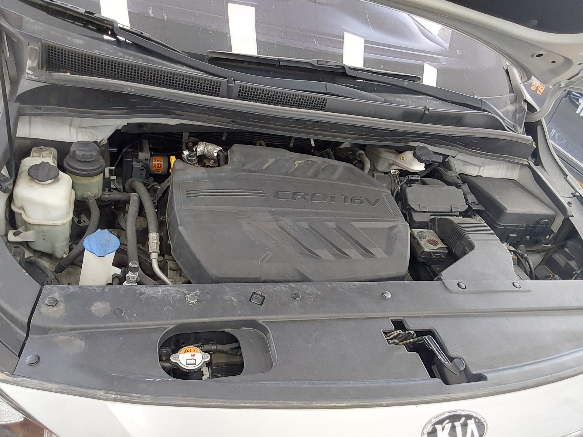 2019 - kia carnival