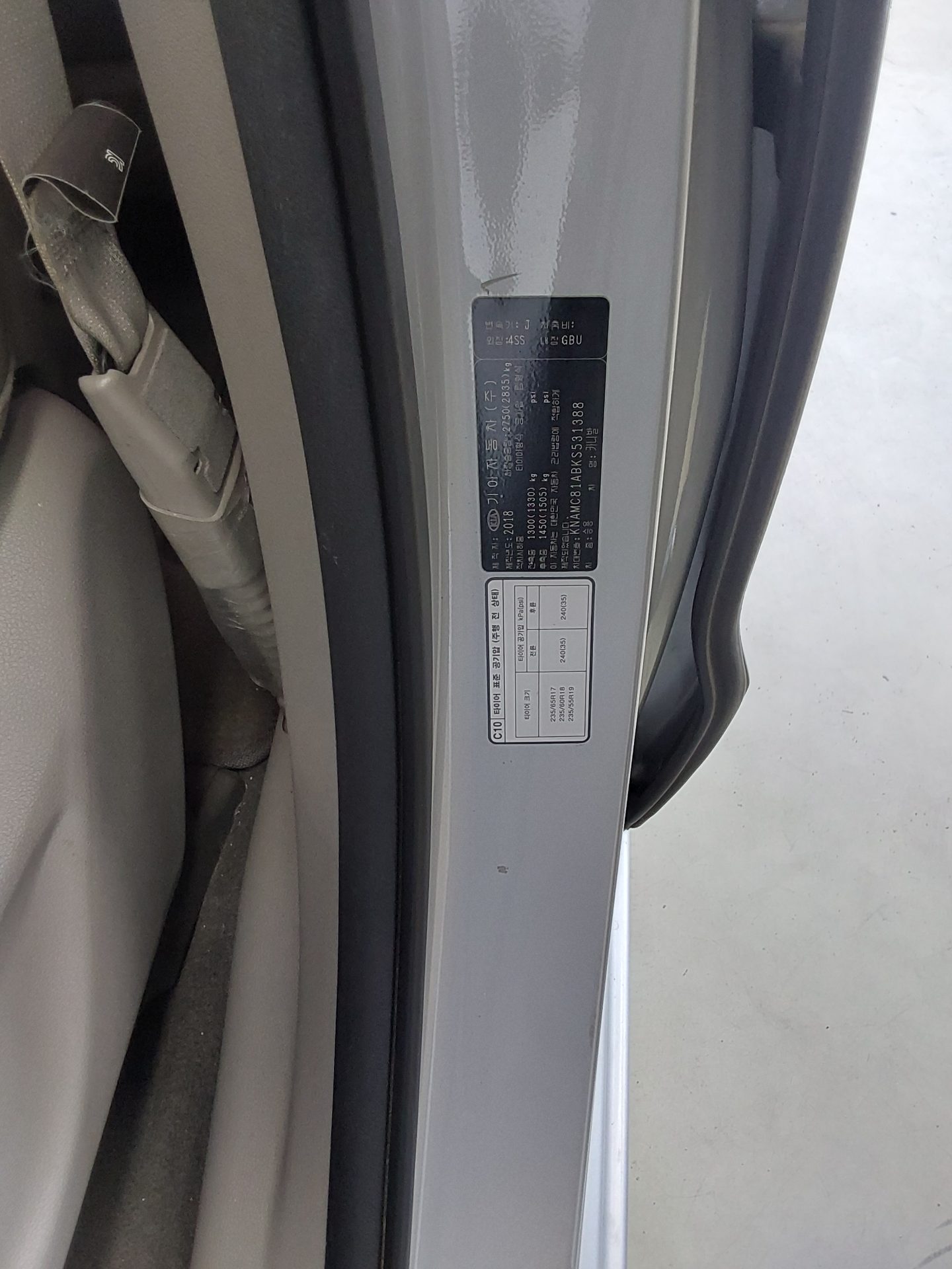 2019 - kia carnival