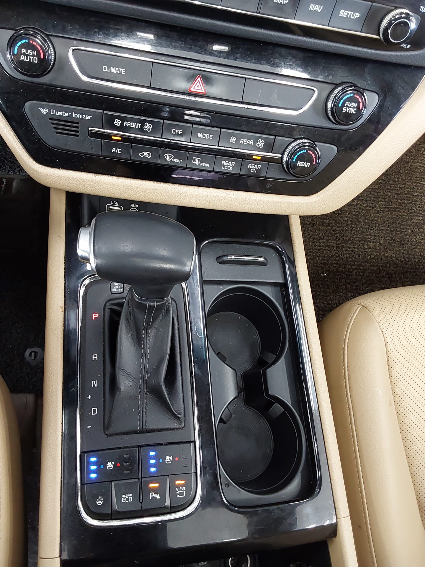 2018 - kia carnival