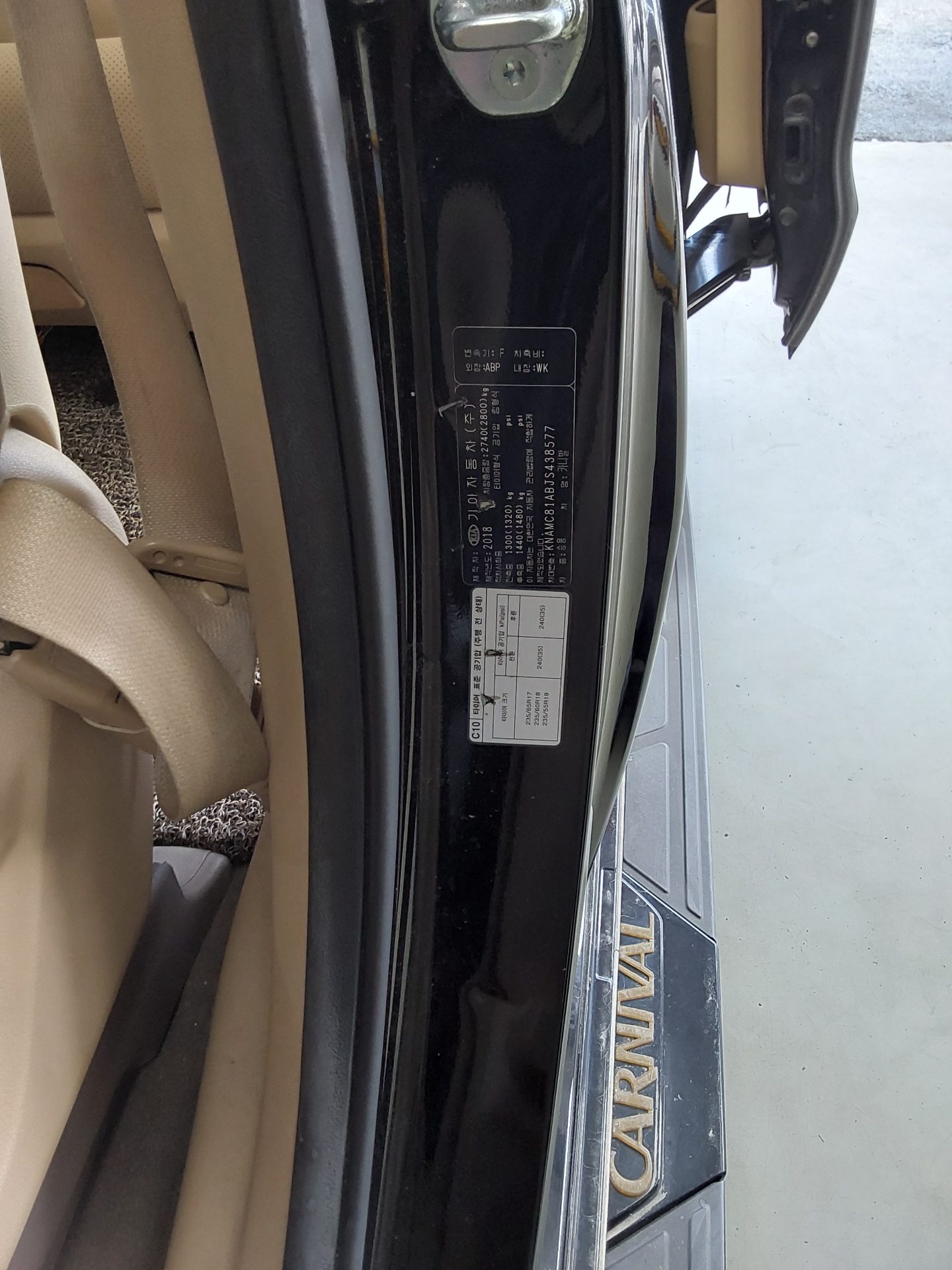 2018 - kia carnival
