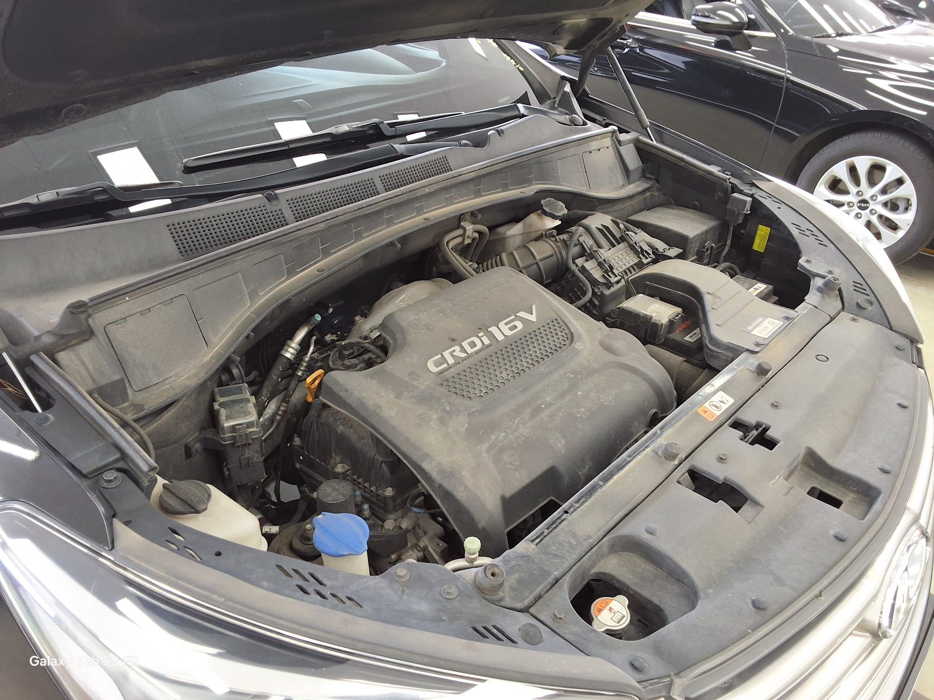 2017 - hyundai maxcruz