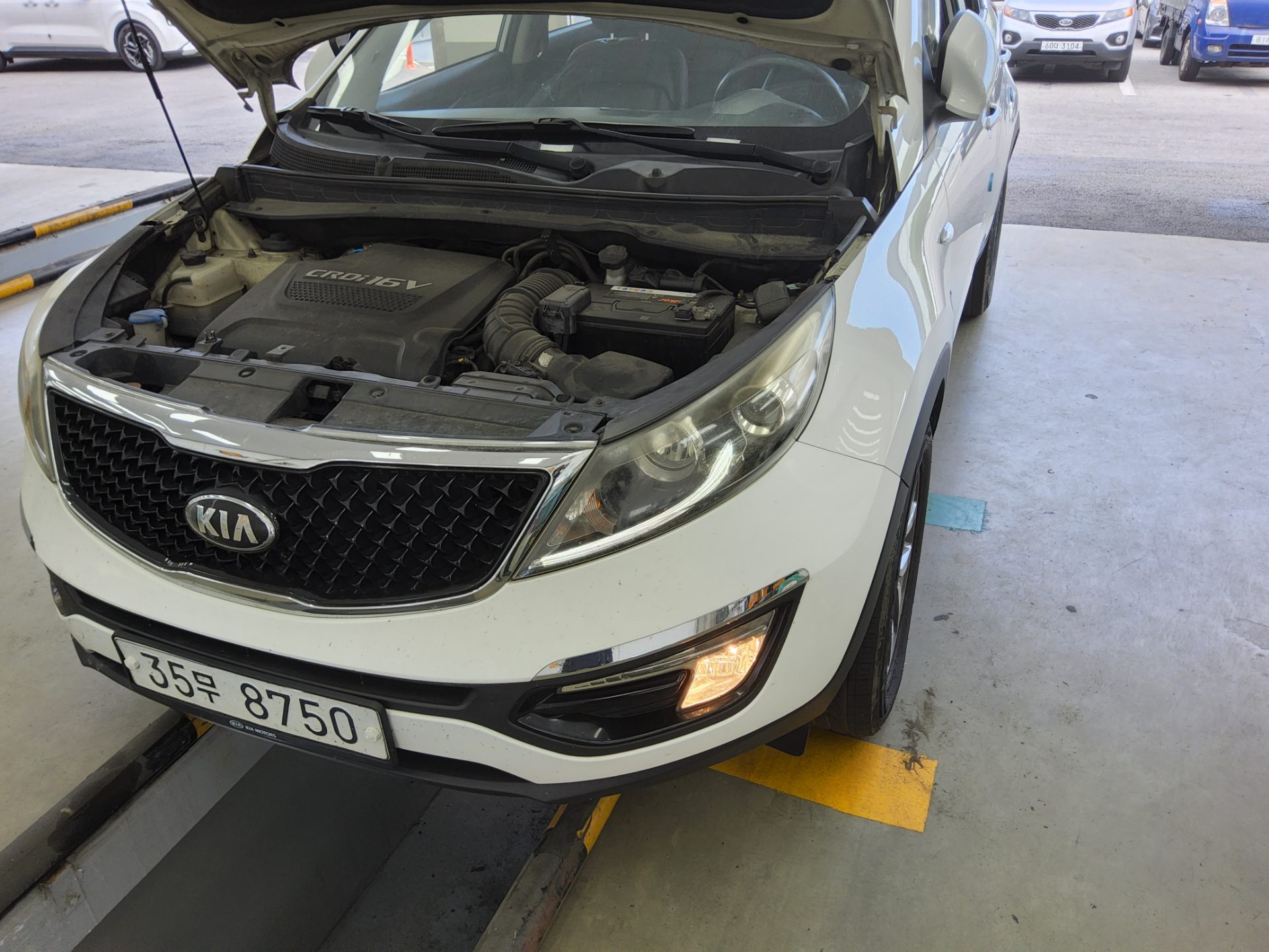 2016 - kia sportage