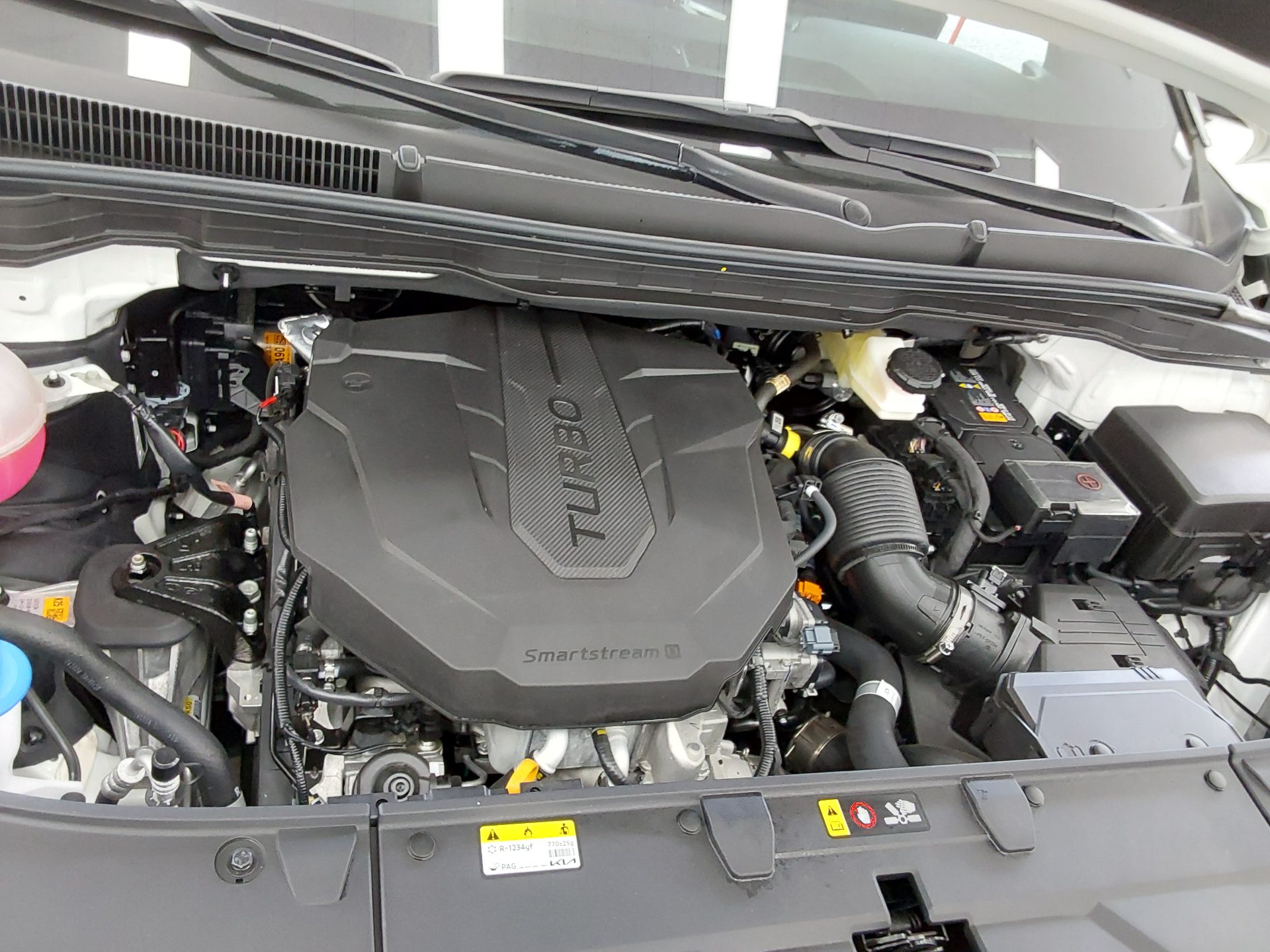 2025 - kia carnival