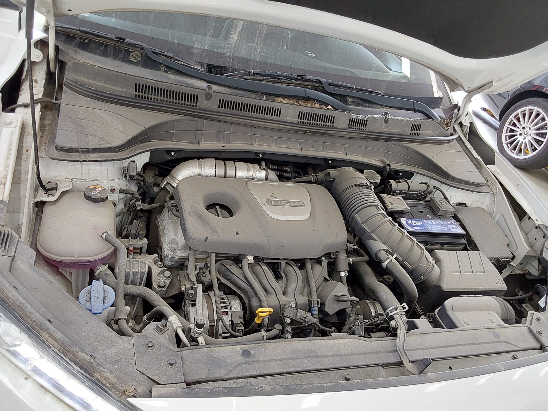 2018 - hyundai kona