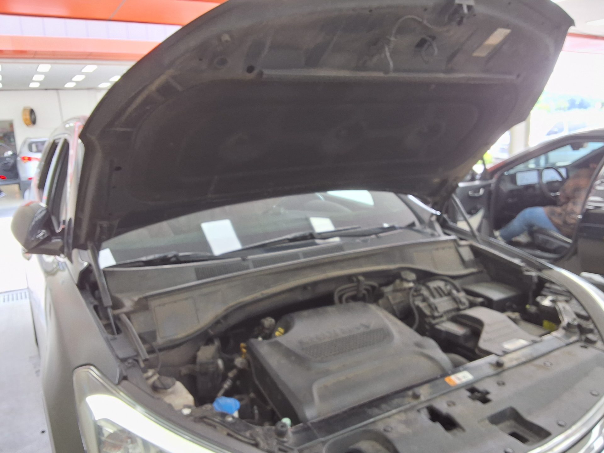 2014 - hyundai maxcruz