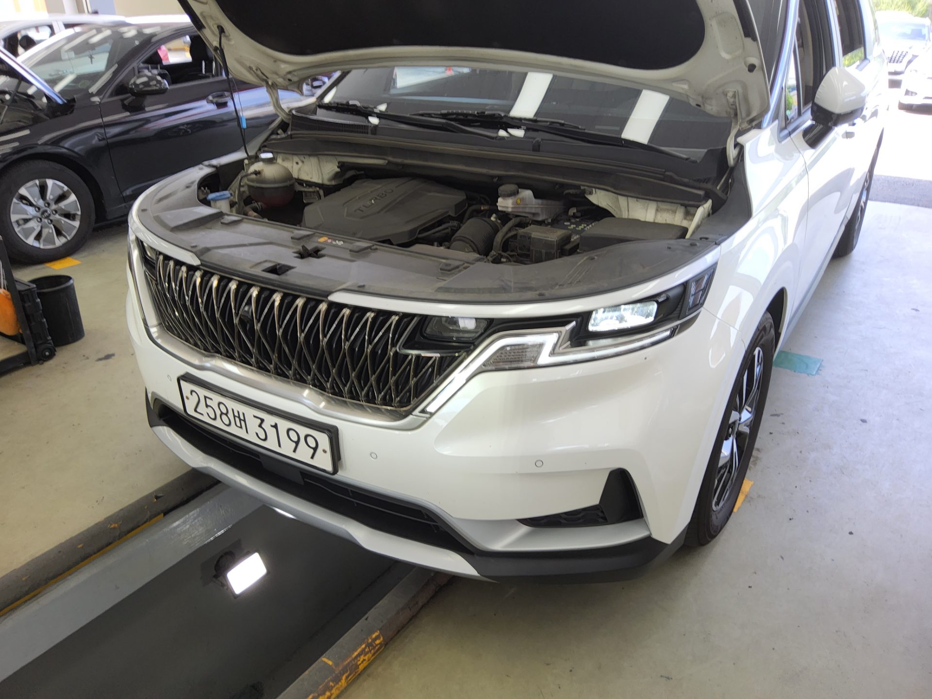 2023 - kia carnival