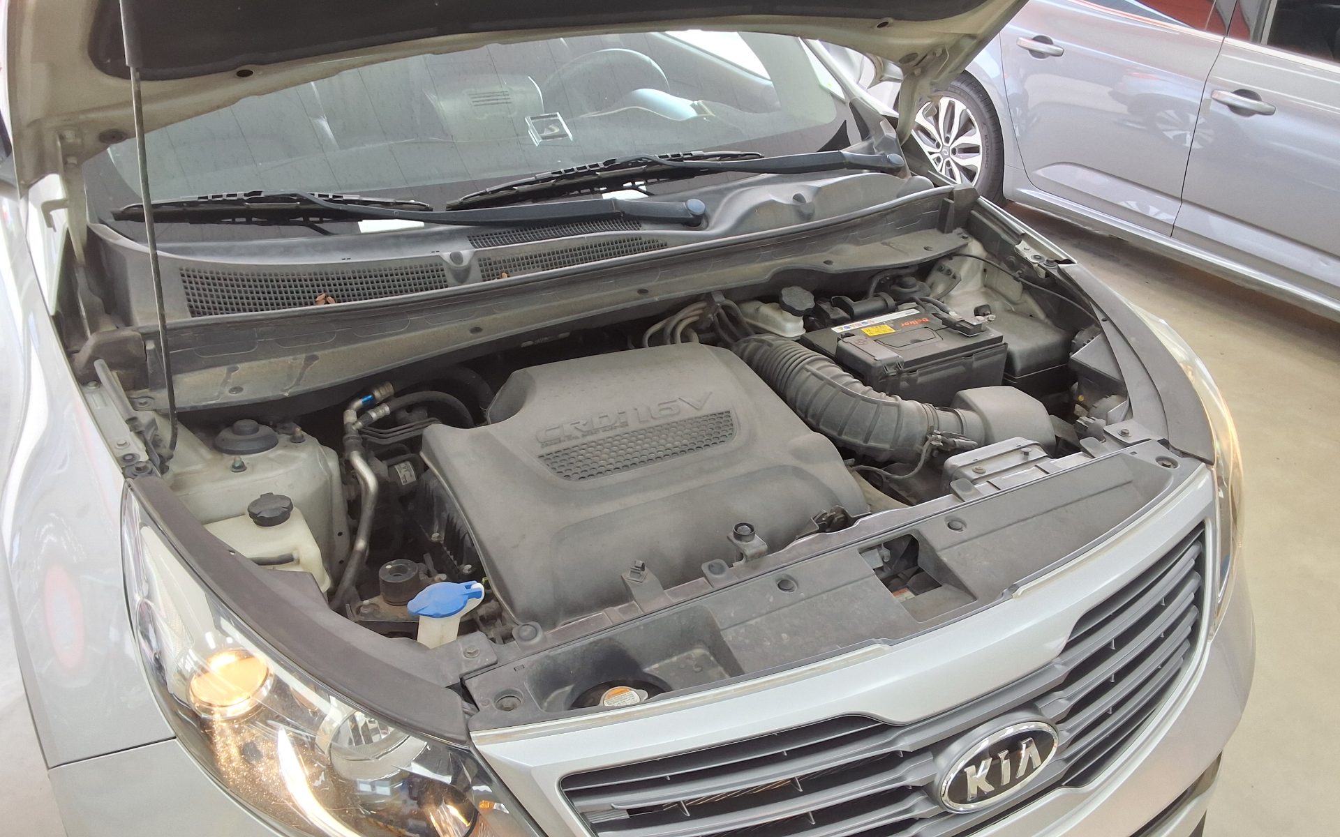 2011 - kia sportage