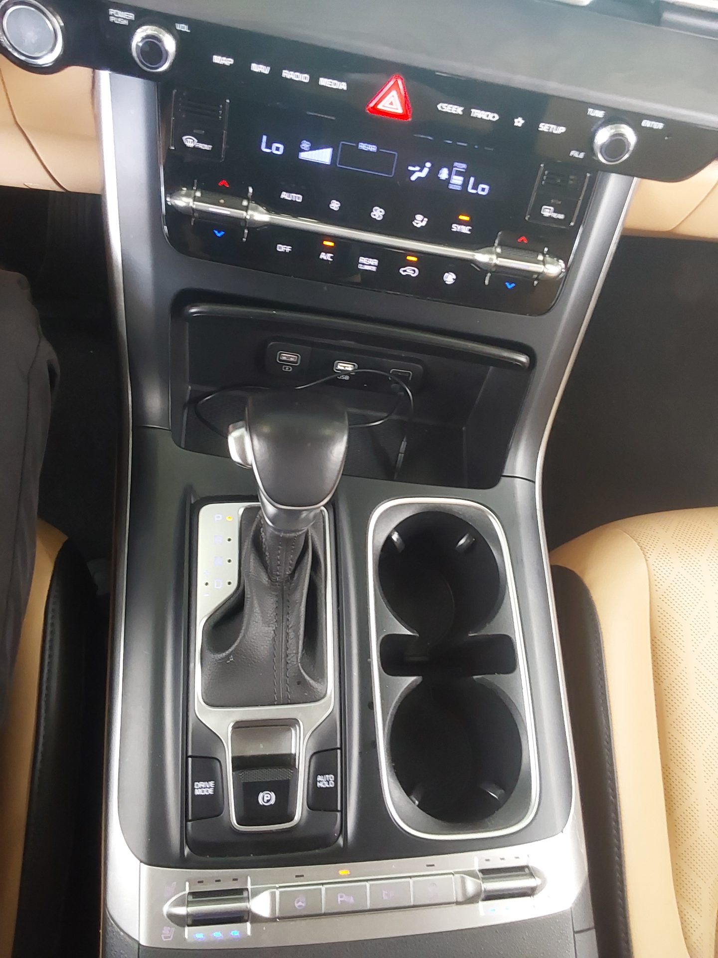 2021 - kia carnival