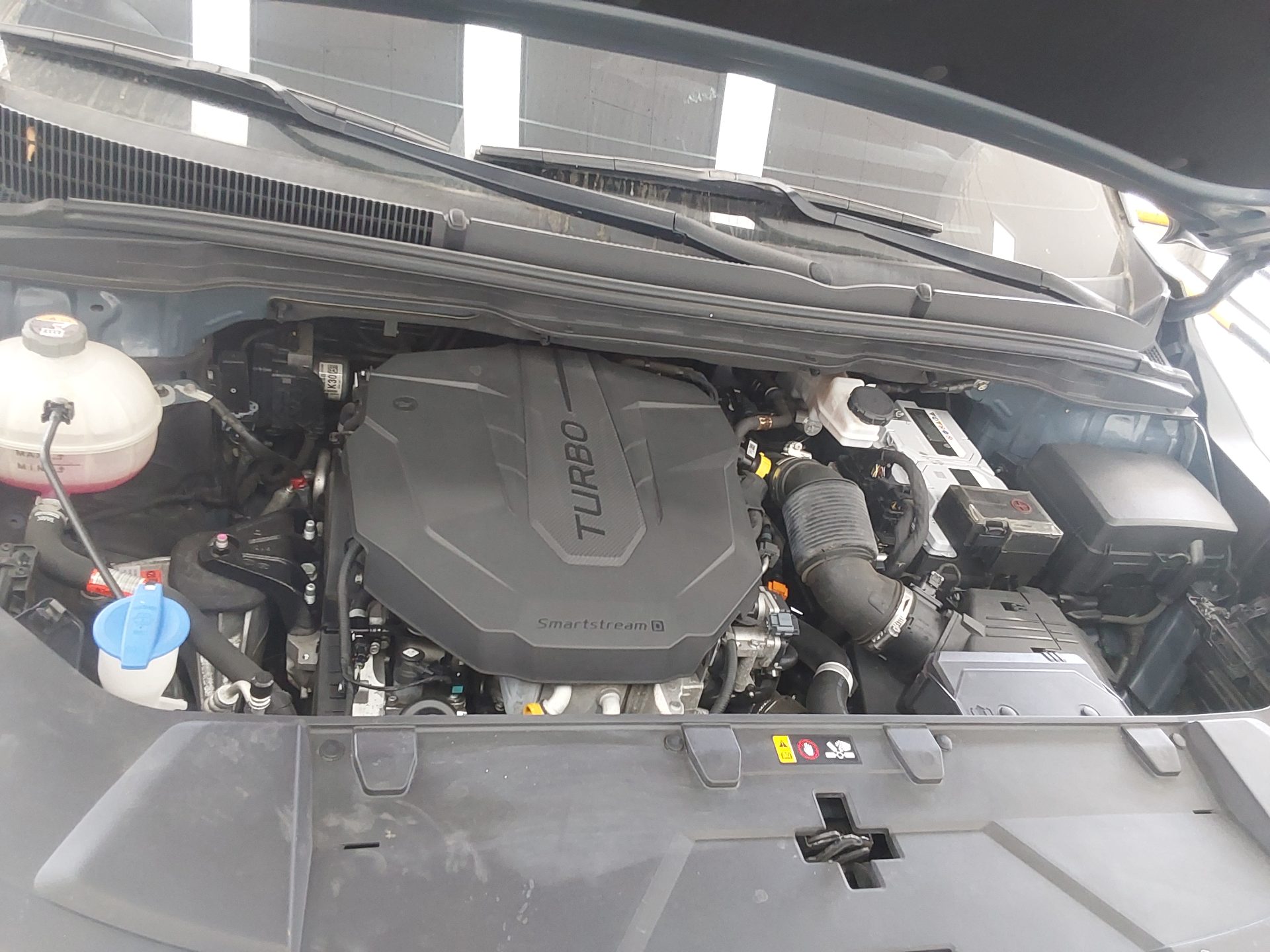 2021 - kia carnival