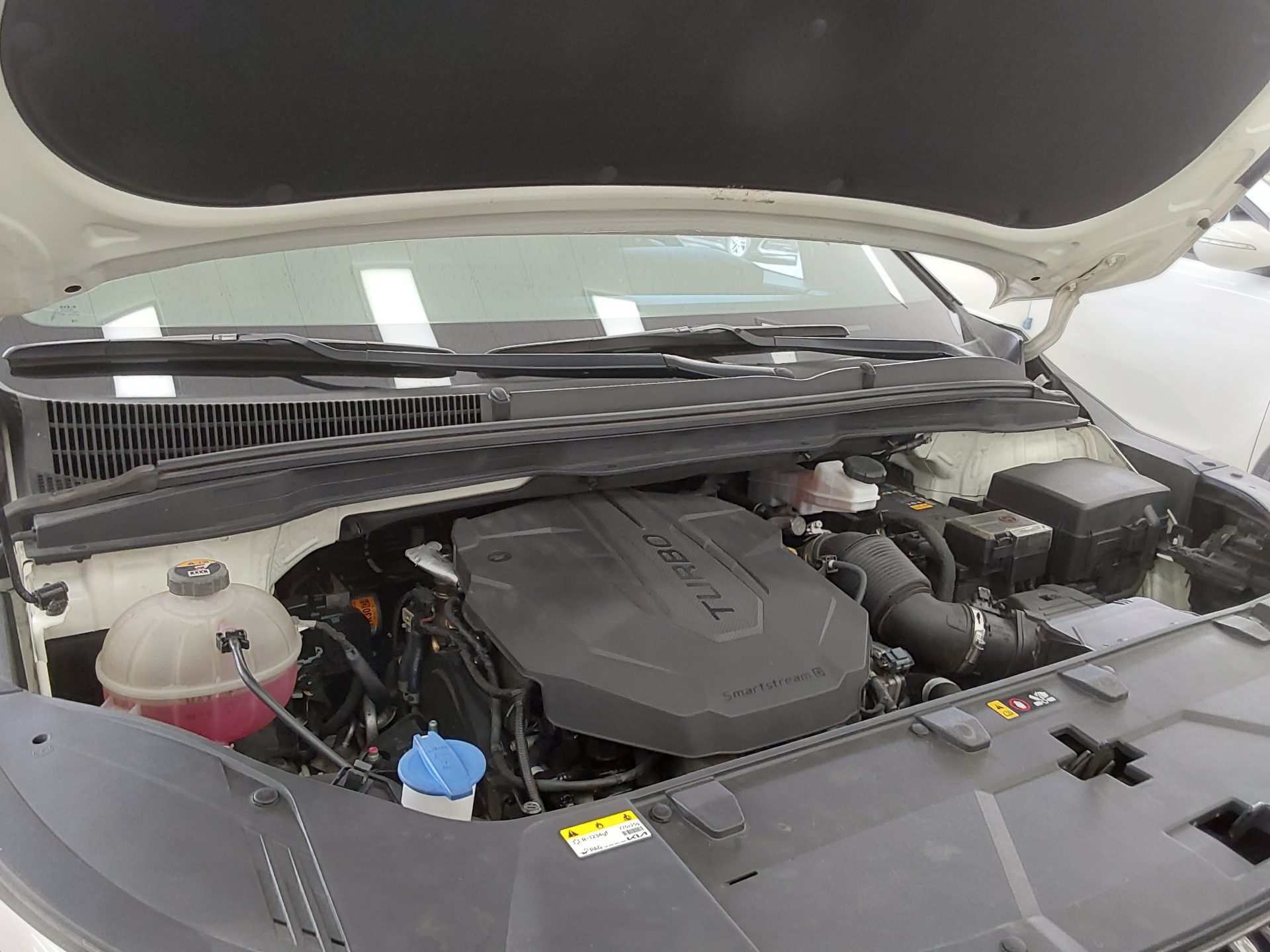 2023 - kia carnival