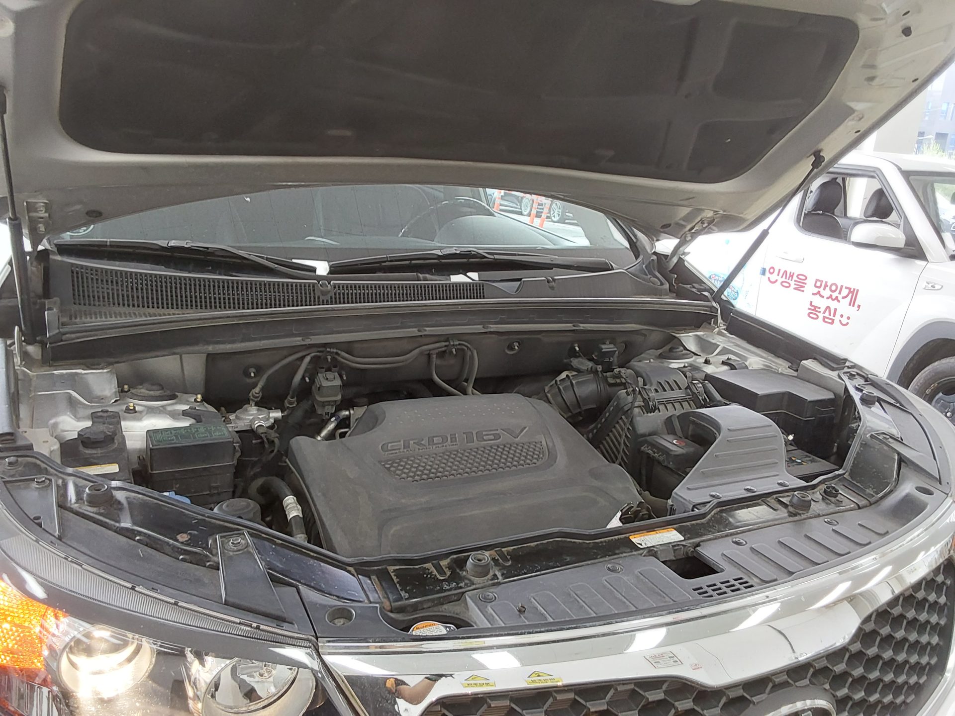 2010 - kia sorento