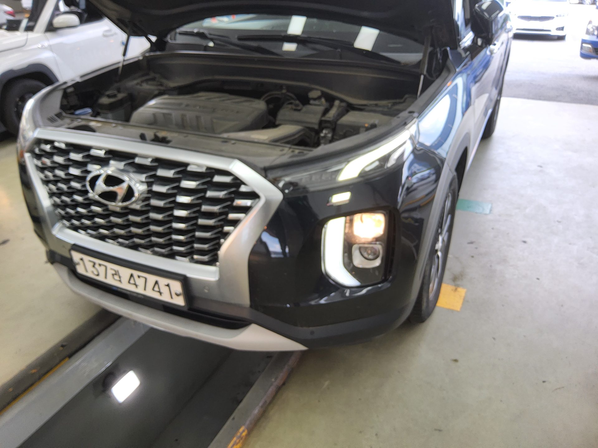 2020 - hyundai palisade