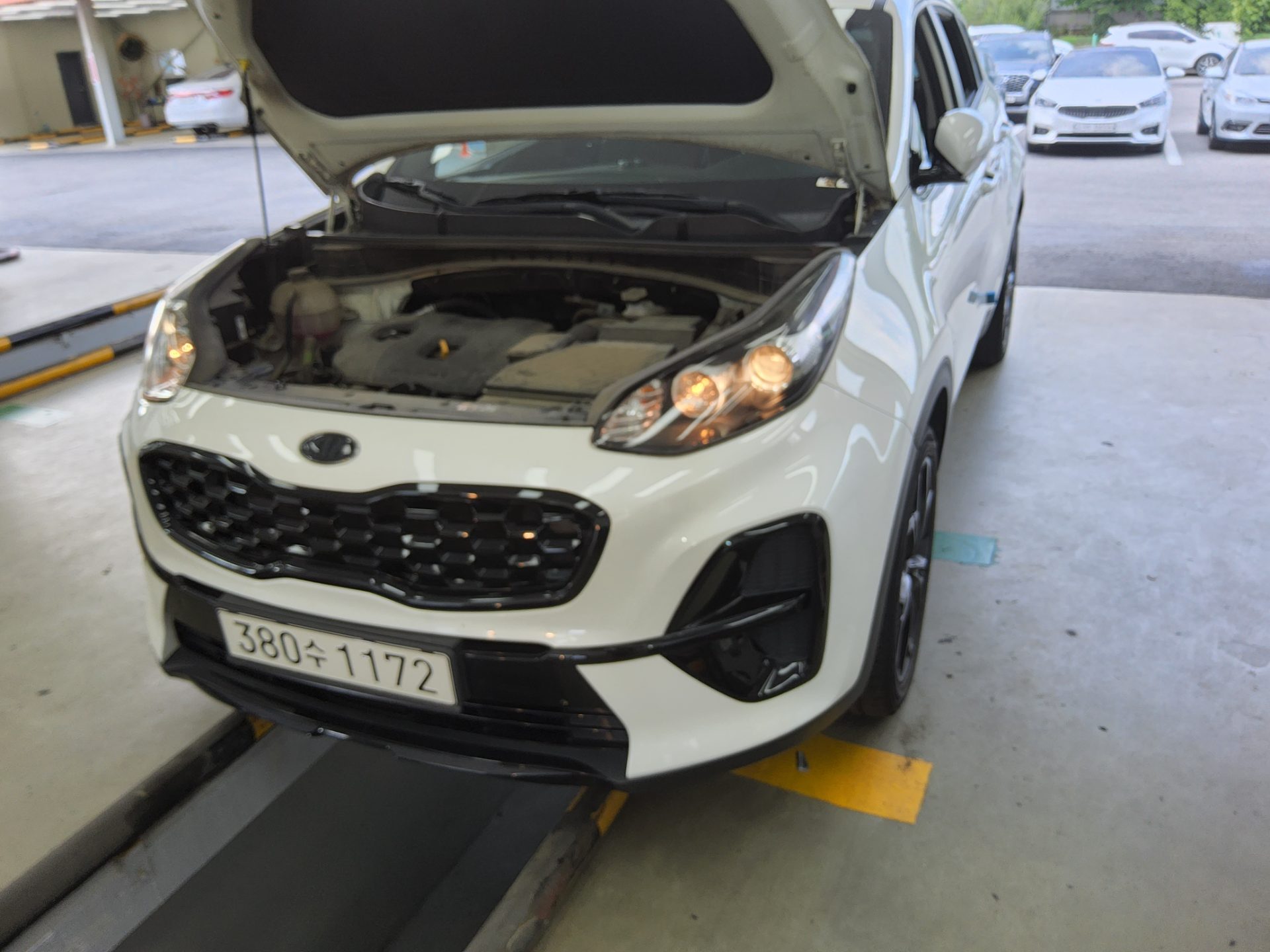 2022 - kia sportage