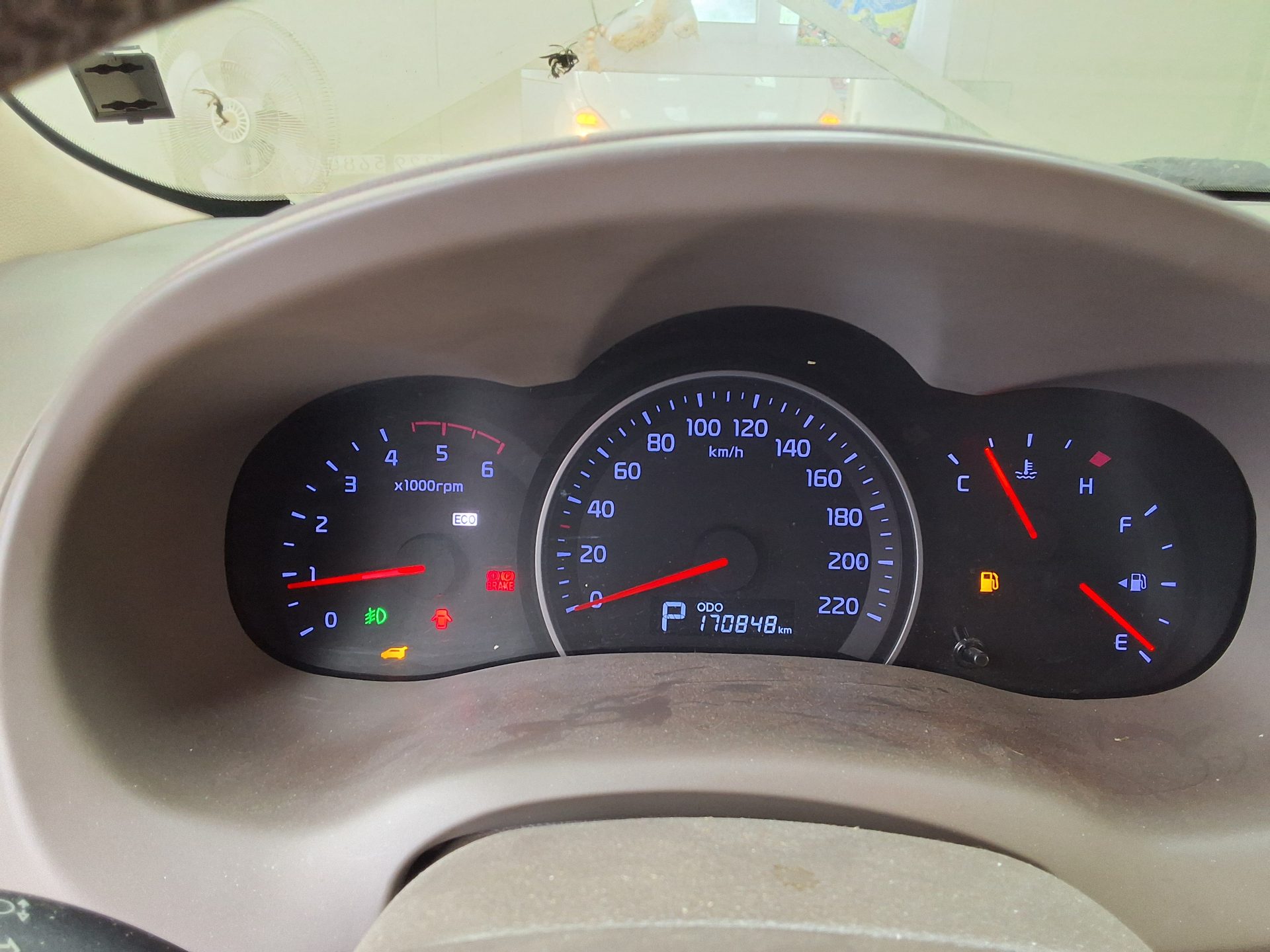 2013 - kia carnival