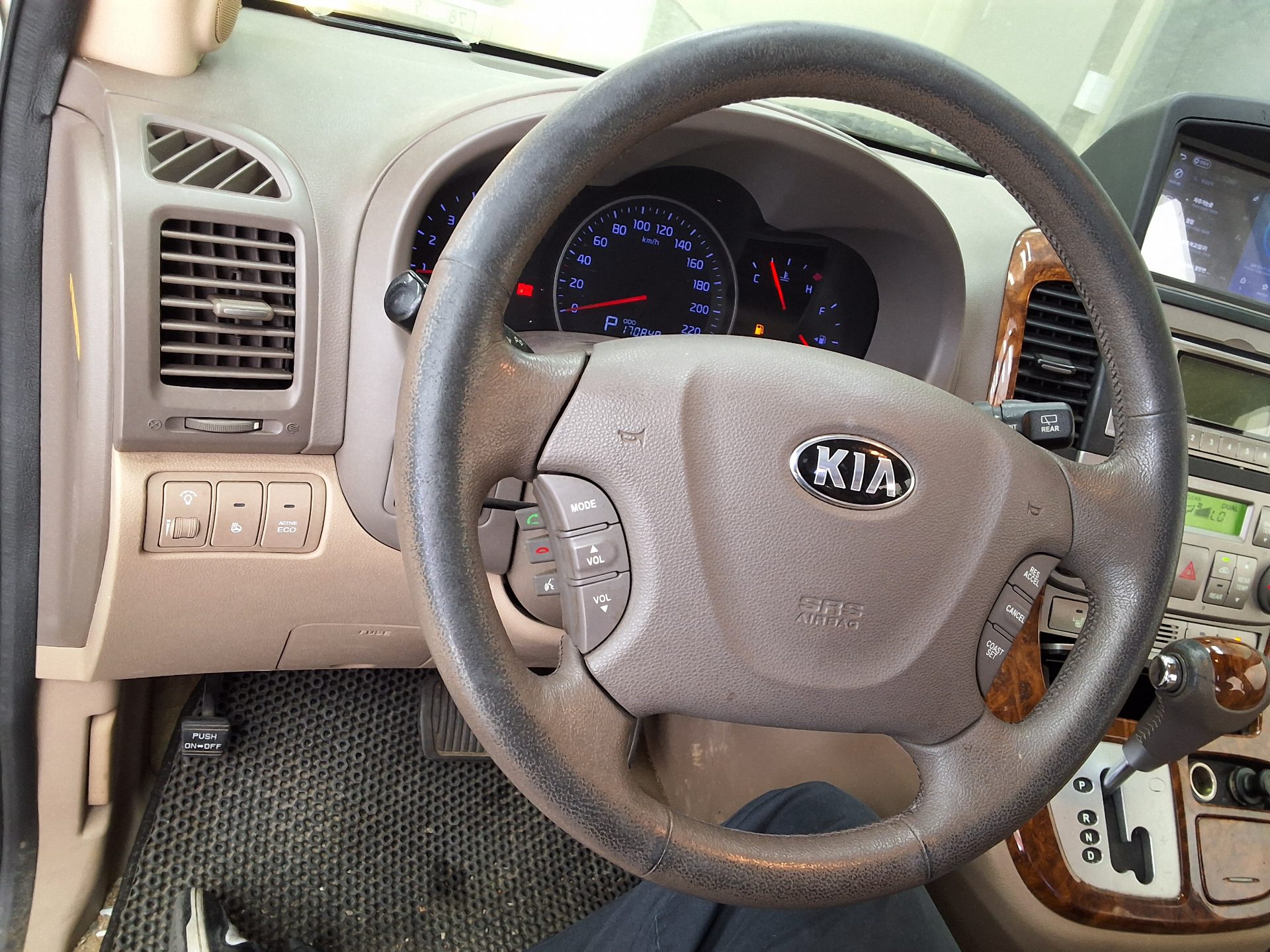 2013 - kia carnival