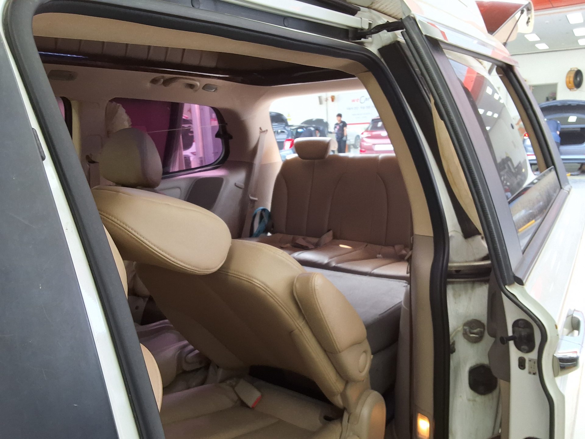 2013 - kia carnival