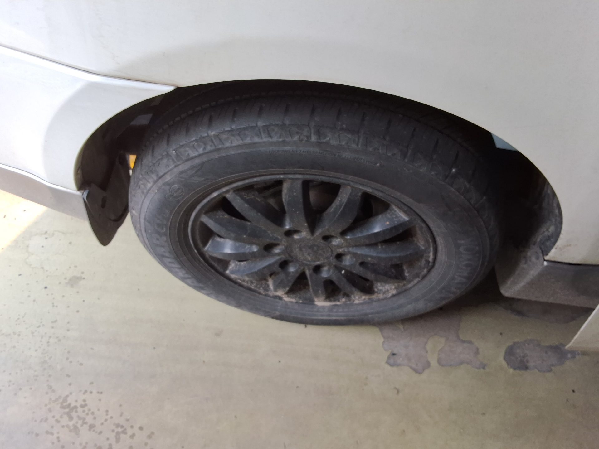 2013 - kia carnival