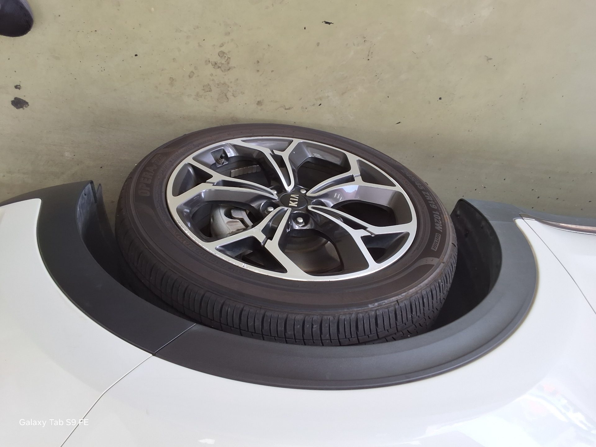 2019 - kia sportage