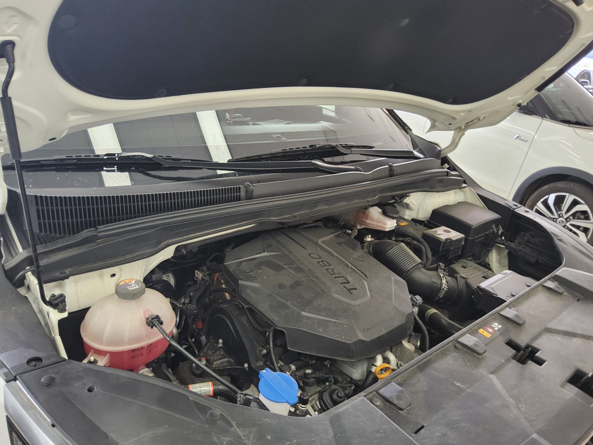 2021 - kia carnival