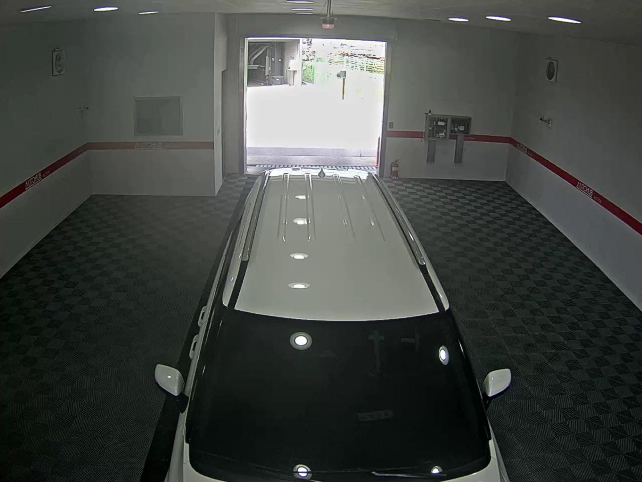 2021 - kia carnival