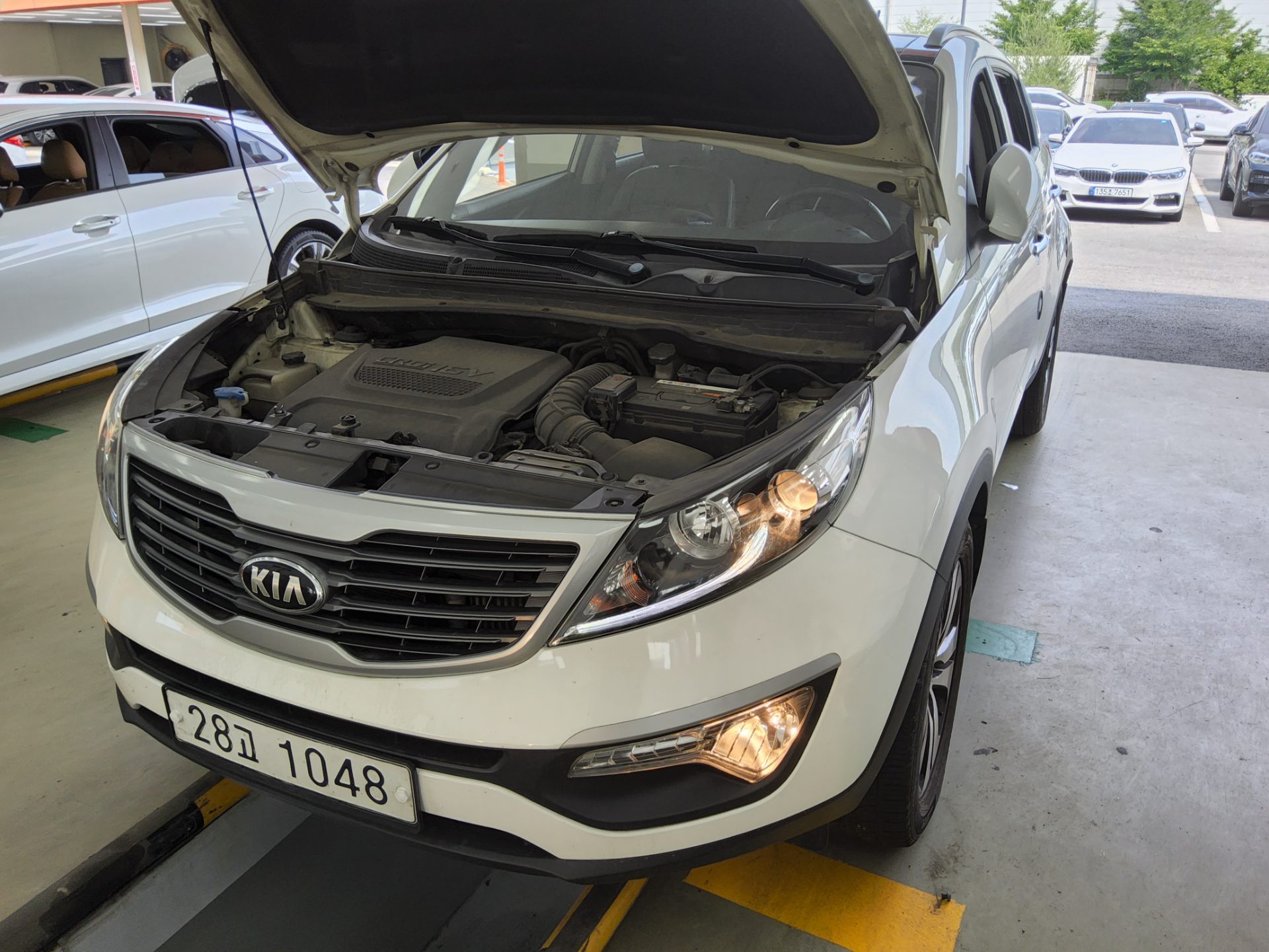 2013 - kia sportage