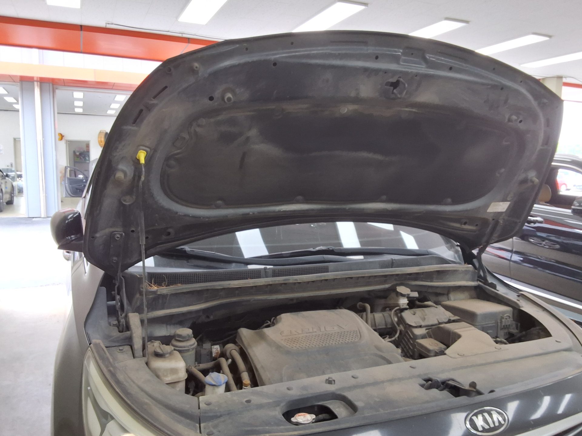 2016 - kia carnival