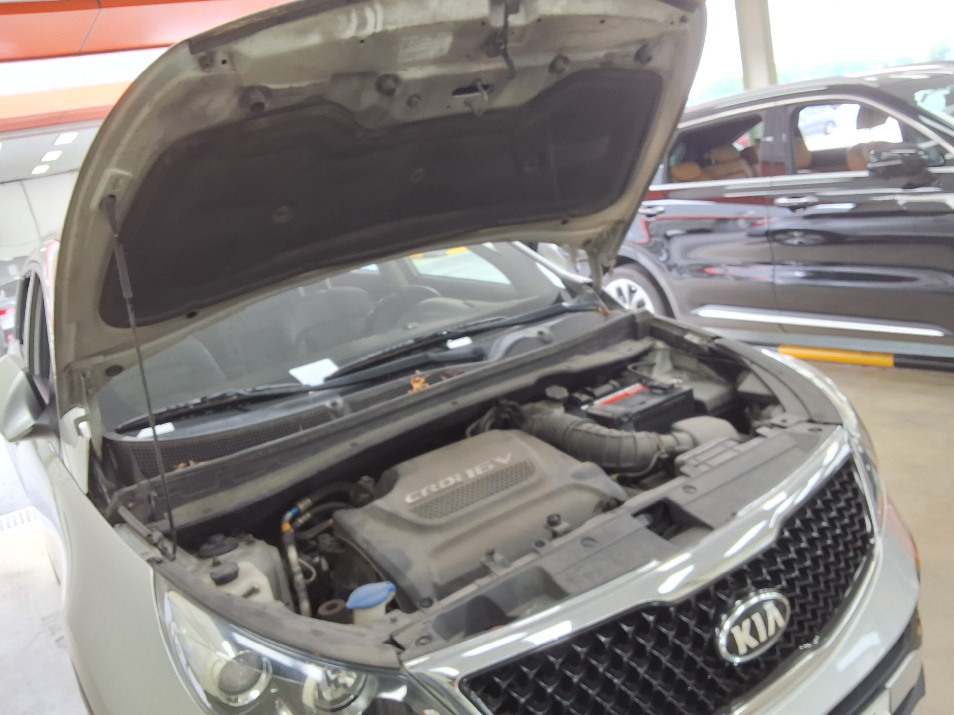2014 - kia sportage