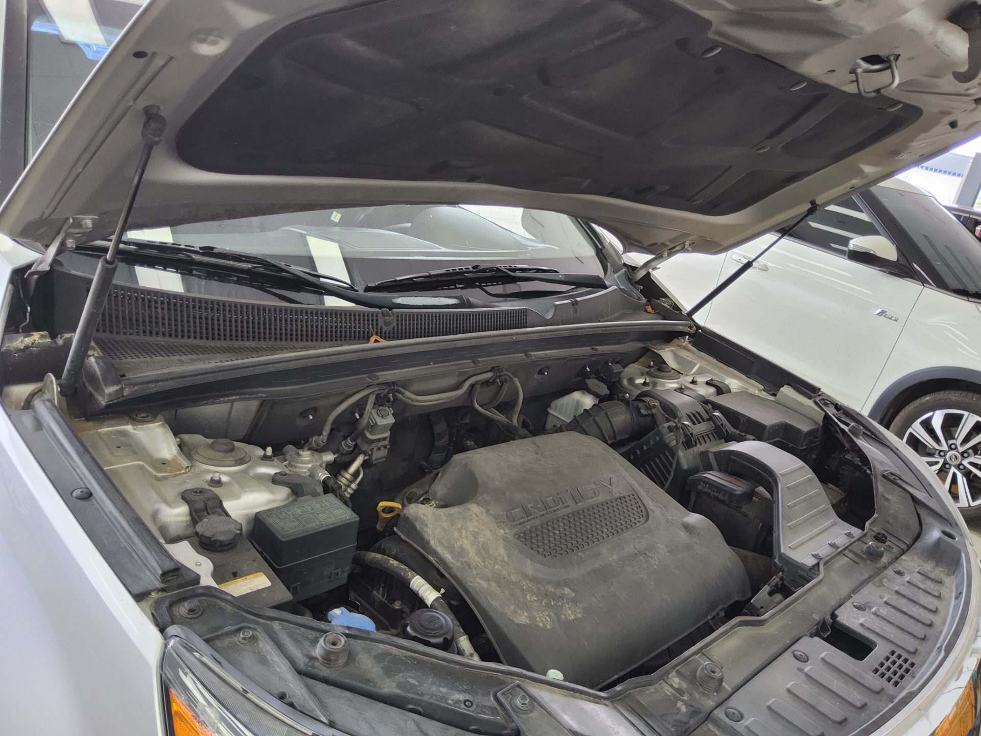 2010 - kia sorento