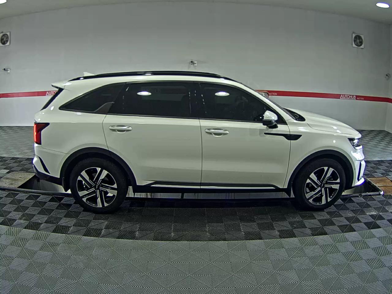 2023 - kia sorento