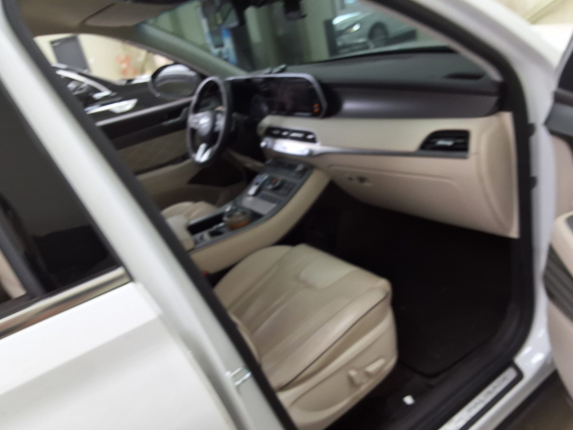 2022 - hyundai palisade