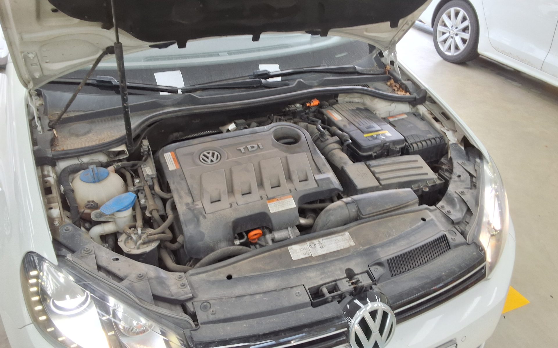 2013 - volkswagen golf