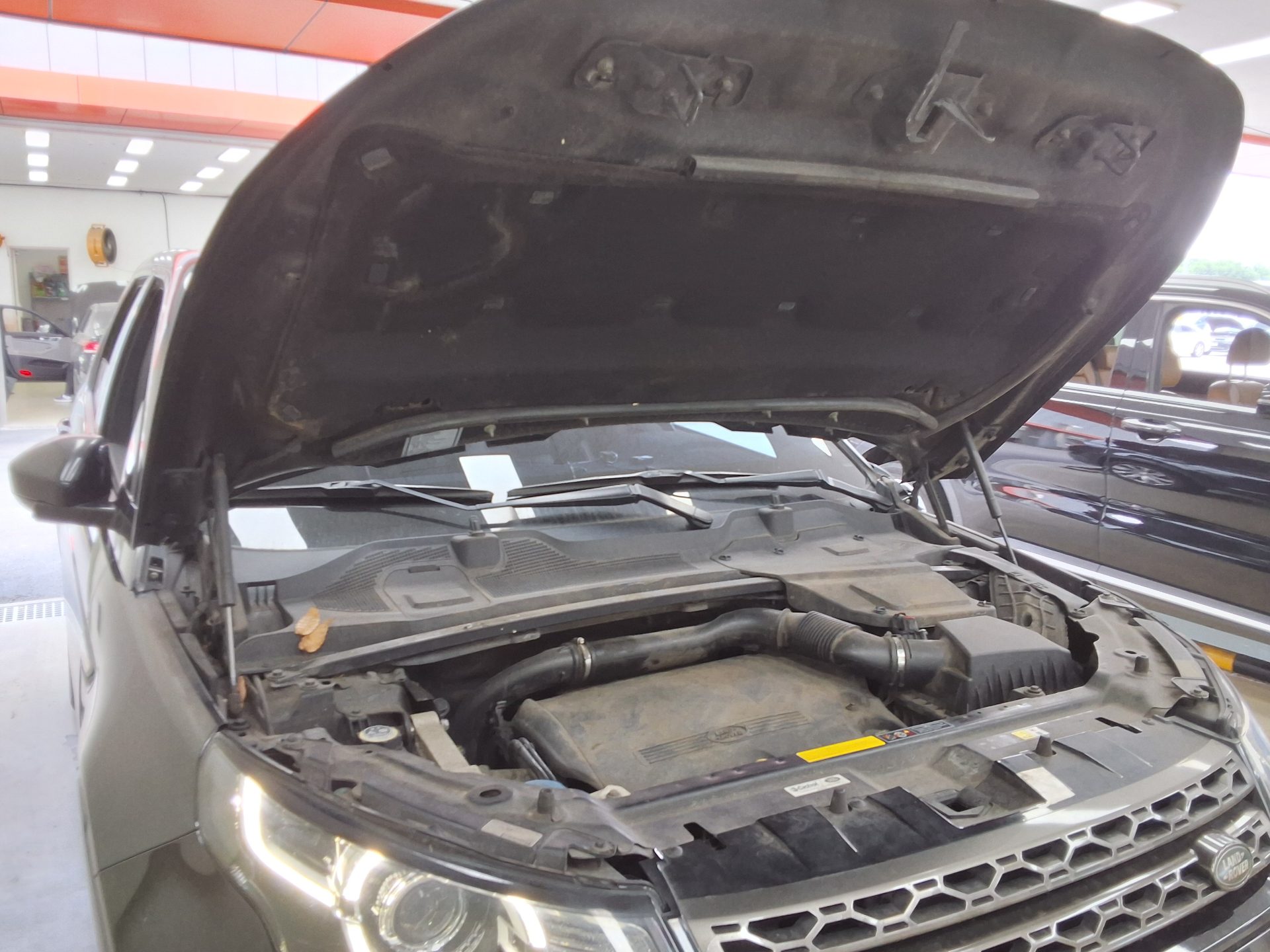 2015 - land rover discovery