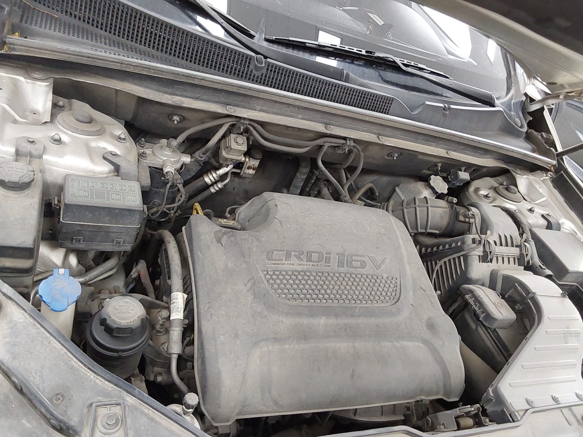 2011 - kia sorento